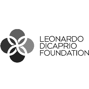 Leonardo DiCaprio Foundation